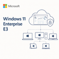 Microsoft Windows 11 Enterprise E3 promotional graphic with the Microsoft logo, product name text, and a cloud illustration connected to multiple devices including laptops, a desktop monitor, a tower, and tablets on a light background.